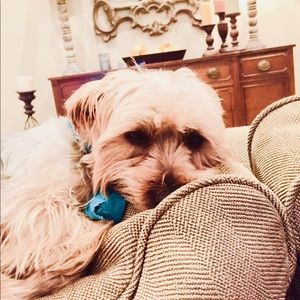 Meet your Posher, Asher